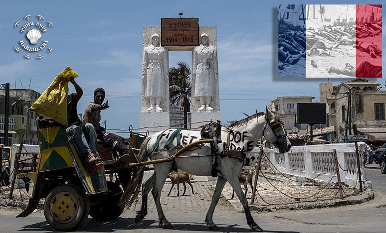 Fransa’nın Afrika'daki İnsan Hakları Sicili “Utanç Adası Gorée” 