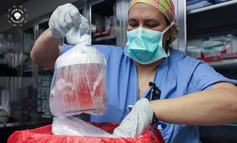 Tıp Alanında Devrim: Yaşayan Hastaya İlk Domuz Böbreği