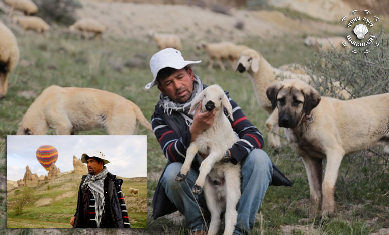 Afganistandan Kapadokya'ya Çoban
