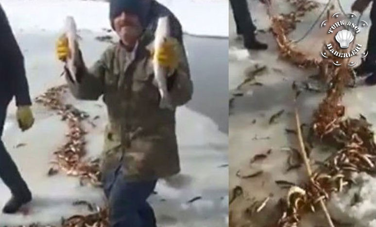 Ağrı'da Buz Tutan Derede Balık Tutan Vatandaşların Sevinci