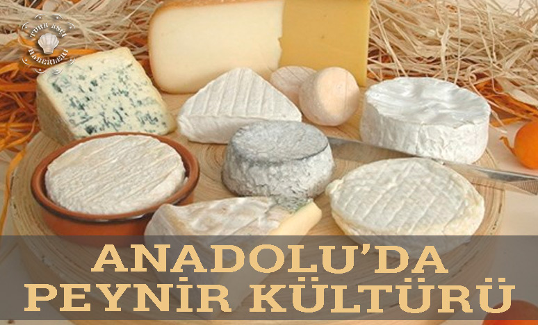 Anadolu’da Peynir Kültürü