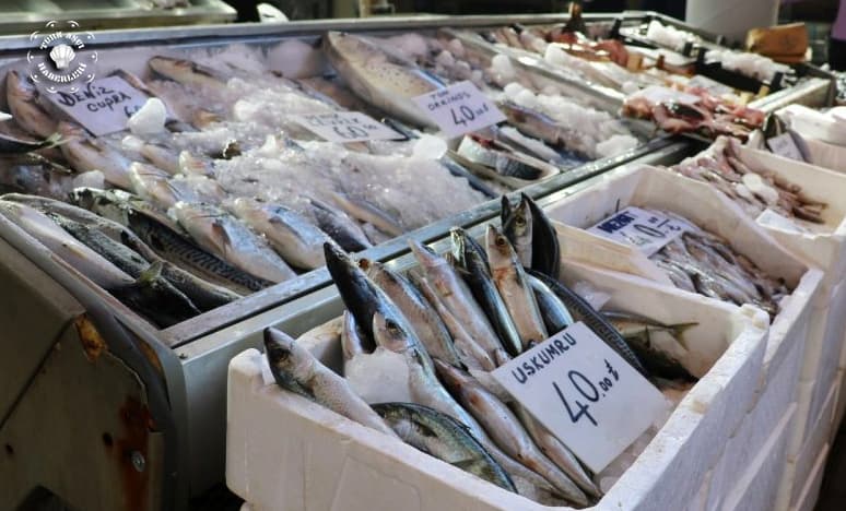 Balık Artarsa Fiyatlar Düşer