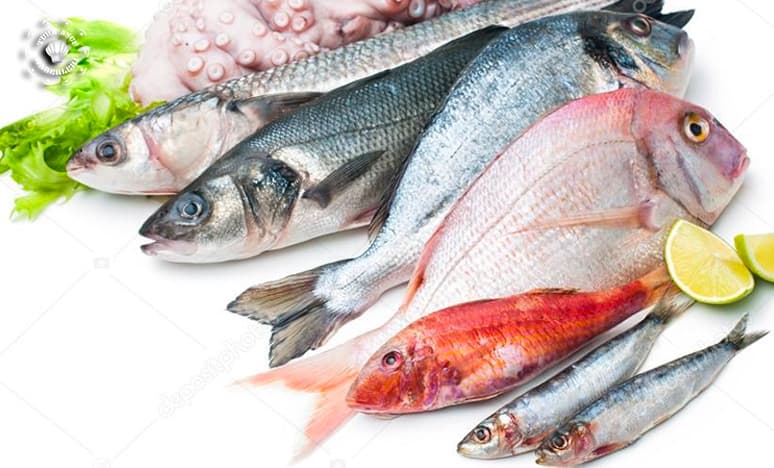 Balık Fiyatları Ne Kadar?