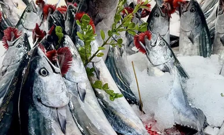 Balık Mevsiminde Sofralara Lezzet, Denizlere Sorumluluk