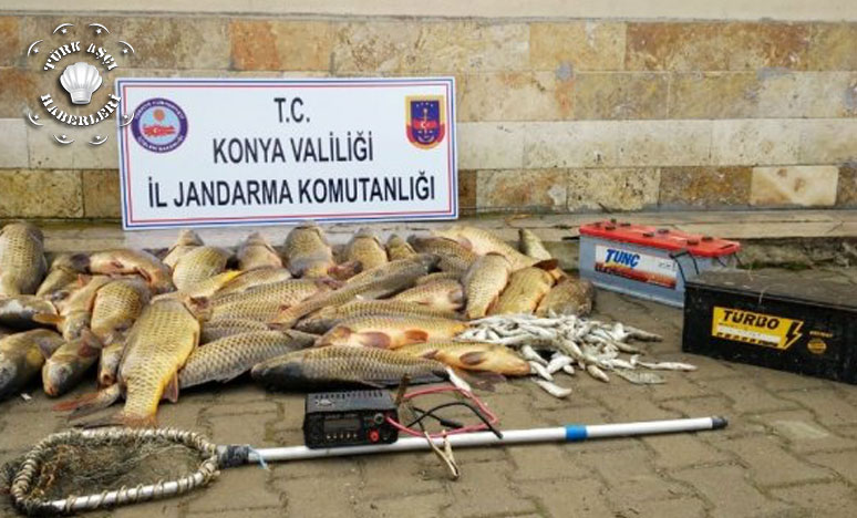 Elektroşokla Balık Avına 32 Bin Lira Ceza