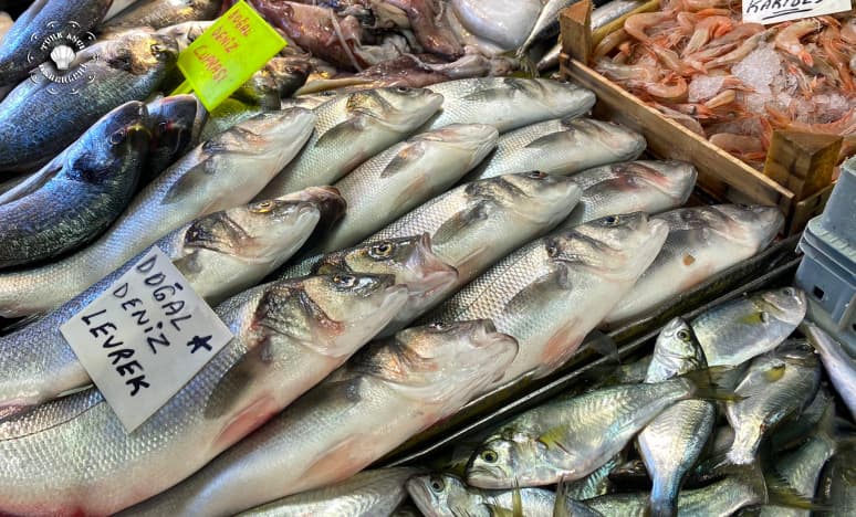 Karlı Ve Soğuklara Rağmen Balık Fiyatları Artmadı