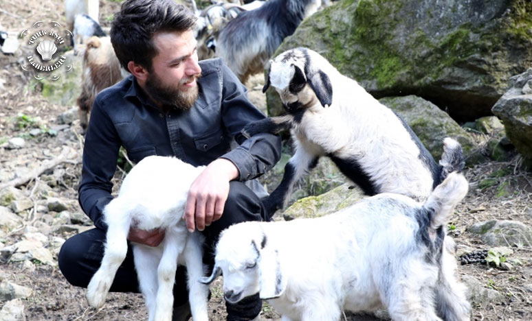 Keçilerine Türkü Söyleyen Çoban, Sosyal Medyada İlgi Odağı Oldu