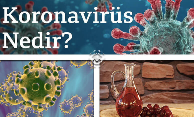 Coronavirüs Nedir?  Korona Üzüm Sirkesi İle Geçer Mi?