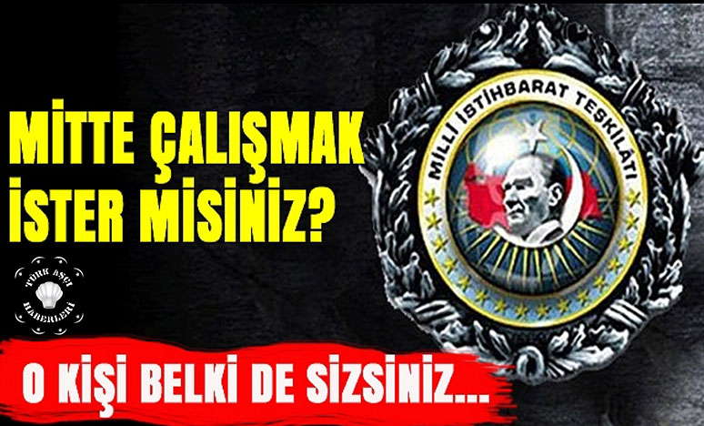 Mitte Çalışmak İster Misiniz?