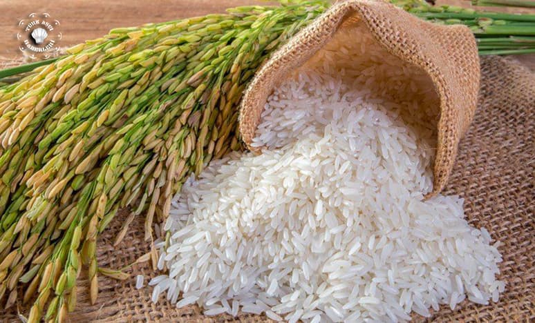 Pirinç Çeşitleri Nedir? Pirinç'in Özellikleri Nelerdir?