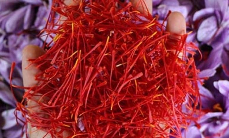 Safran'ın Özellikleri Nelerdir?