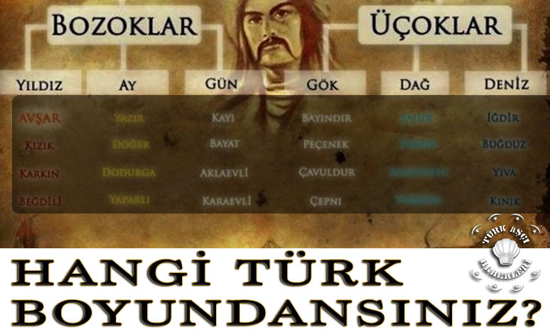 Türklerin Soy Ağacının İl İl Listesi! Hangi Türk Boyundansınız? <