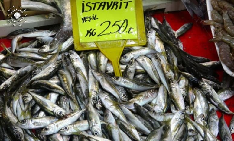 Türkiyede Av Yasağı Balık Fiyatlarını Uçurdu