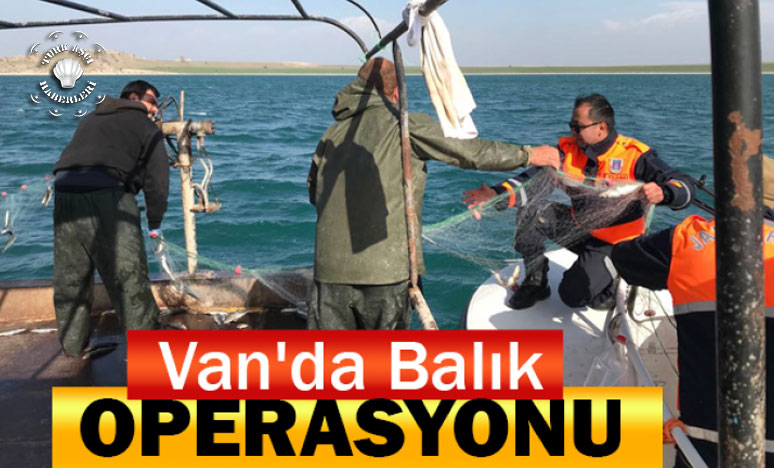 Van'da Jandarmadan Balık Operasyonu