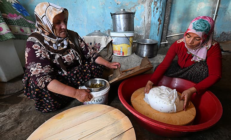 Vanlı Kadın Çiftçilere Hijyen Eğitimiyle Otlu Peynir