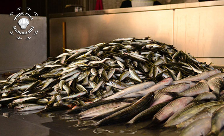 Yüksek Fiyat Balık Satıcılarını Vurdu