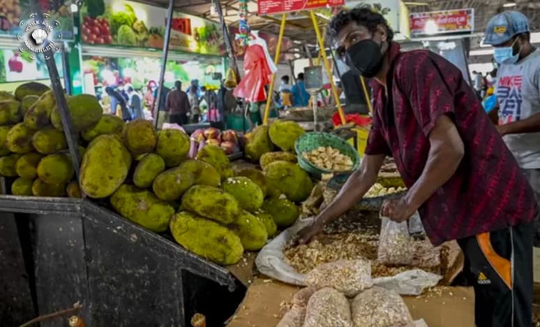 Çürümeye Bırakılan "Jackfruit" Açlıktan Kurtarıyor