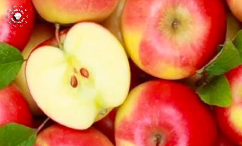 Elmanın Özellikleri Nelerdir?