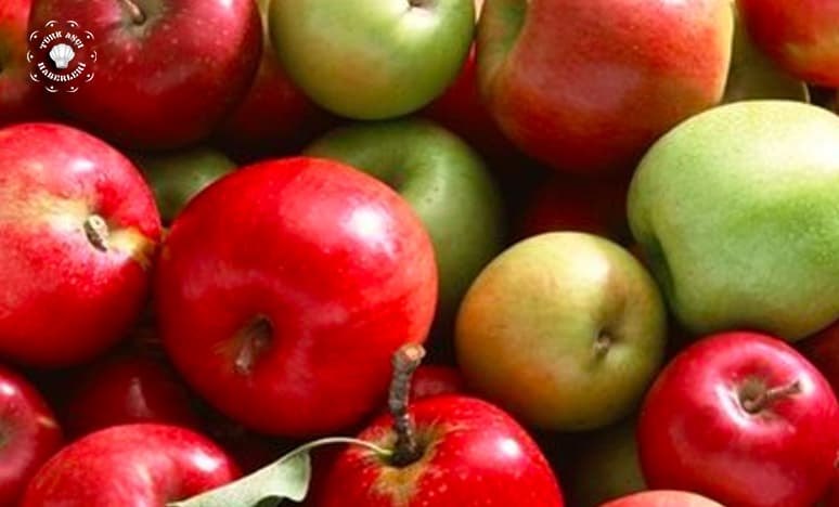 Elmanın Özellikleri Nelerdir?