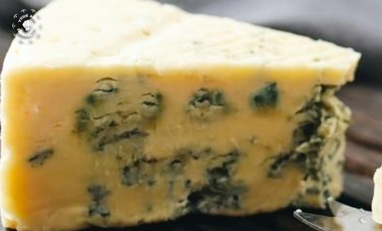 Küflü Peynir Nedir? Özellikleri Nelerdir? Faydaları Ve Zararları...