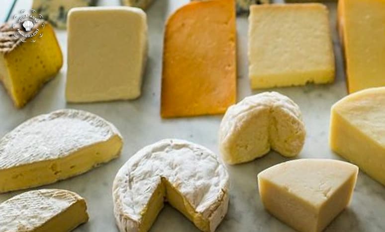 Peynir Tüketimi Ağız Kokusuna Çözüm Olurmu?
